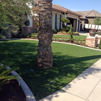 Synthetic Turf Supplier Temecula, California City Landscape, Front Yard Landscape Ideas