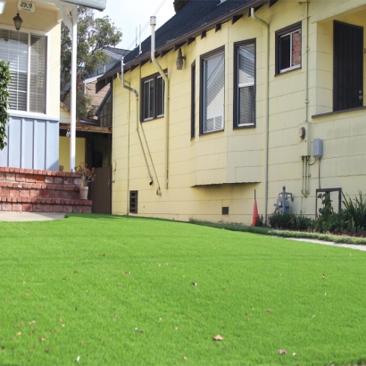 Turf Grass Norco, California Landscape Design, Front Yard Ideas