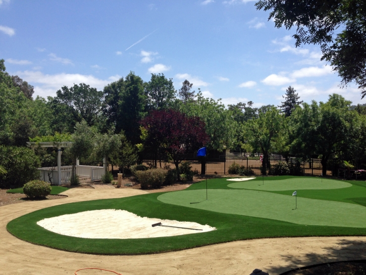 Artificial Grass Carpet Canyon Lake, California Backyard Deck Ideas, Front Yard Design