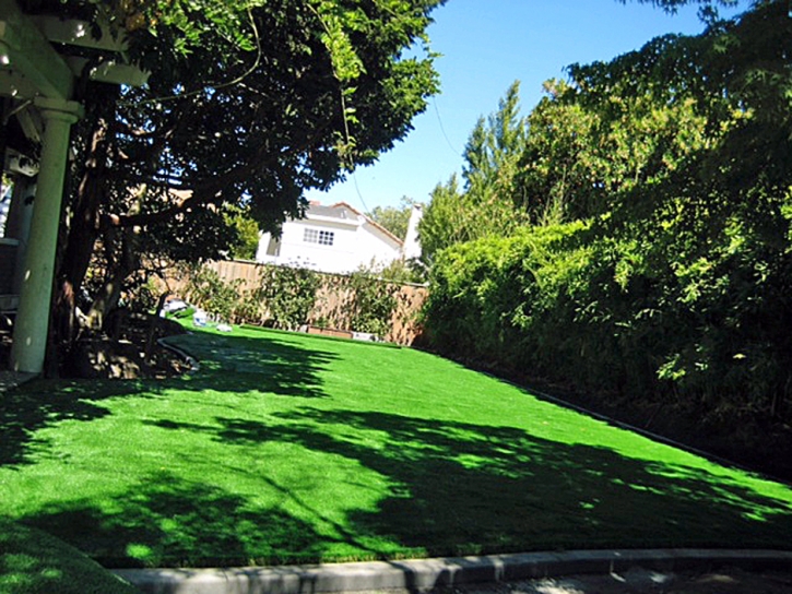 Artificial Grass Carpet Corona, California Backyard Playground, Backyard Landscape Ideas