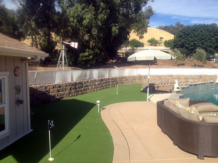 Artificial Grass Carpet Lake Elsinore, California Home And Garden, Backyard