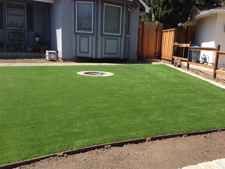 Artificial Grass Carpet Murrieta Hot Springs, California Lawn And Garden, Backyard Designs