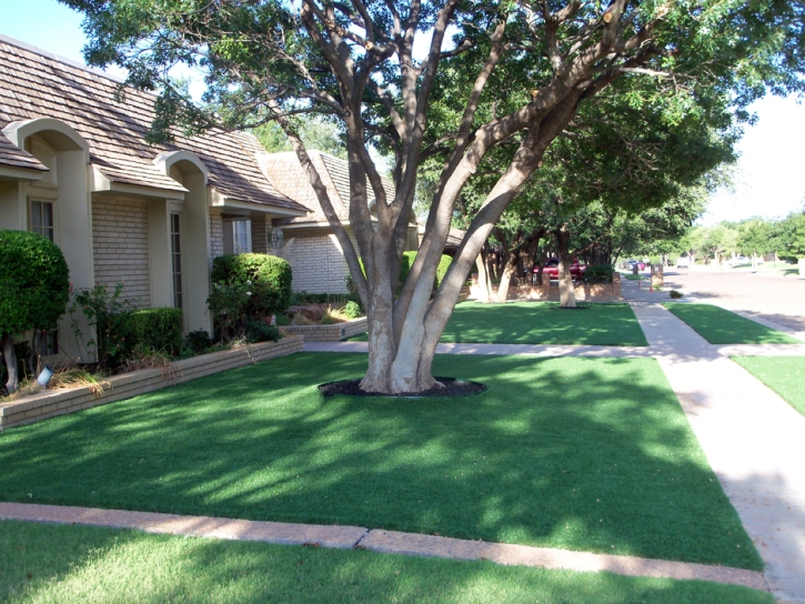 Artificial Grass Carpet Palm Springs, California Rooftop, Front Yard Landscape Ideas