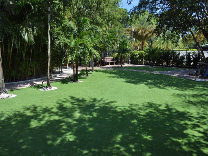 Artificial Grass Carpet Palm Springs, California Lawn And Landscape, Commercial Landscape