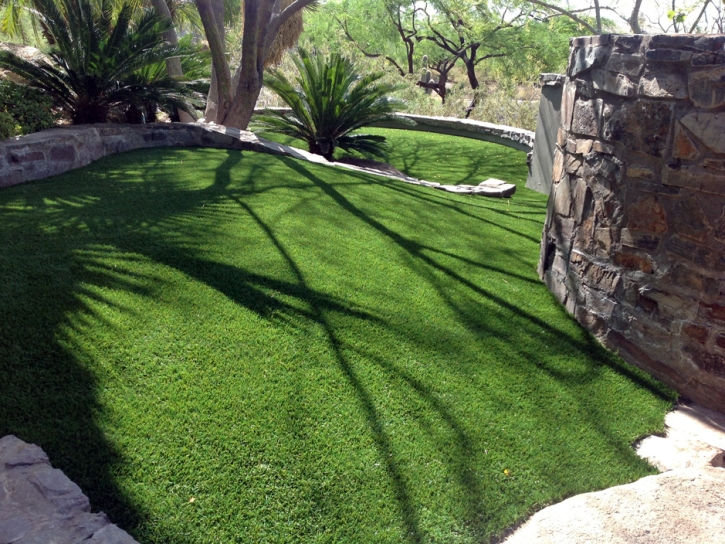 Artificial Grass Carpet Sun City, California Design Ideas