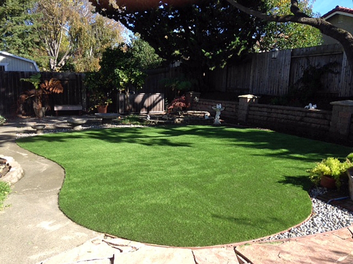 Artificial Grass Carpet Valle Vista, California Landscaping, Beautiful Backyards