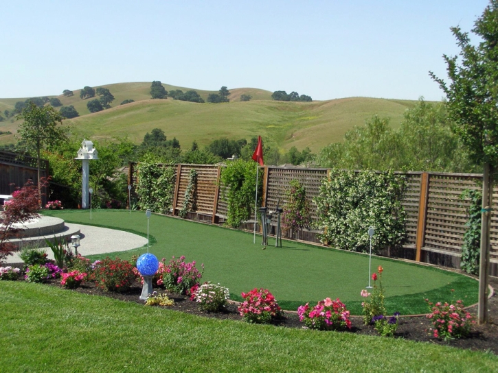 Artificial Grass Carpet Woodcrest, California City Landscape, Backyard