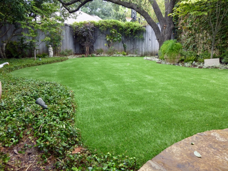 Artificial Grass Desert Edge, California Landscape Rock, Backyard Landscaping