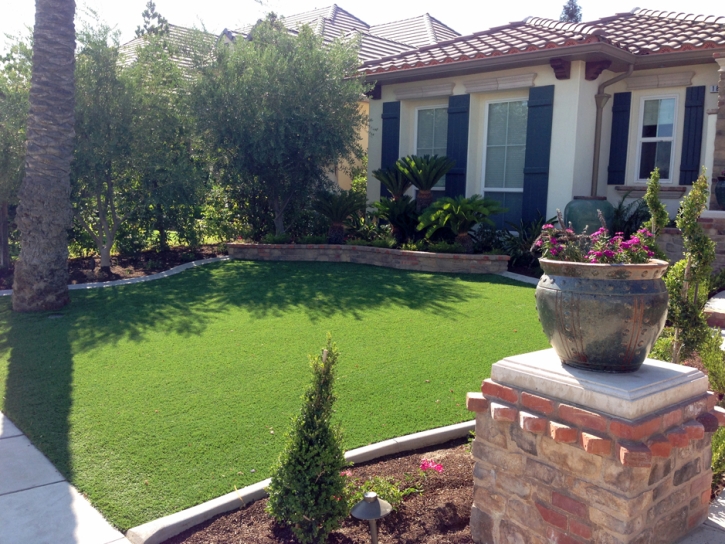 Artificial Grass Installation Rubidoux, California Design Ideas, Front Yard