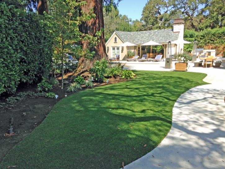 Artificial Grass Lakeview, California Lawn And Garden, Commercial Landscape