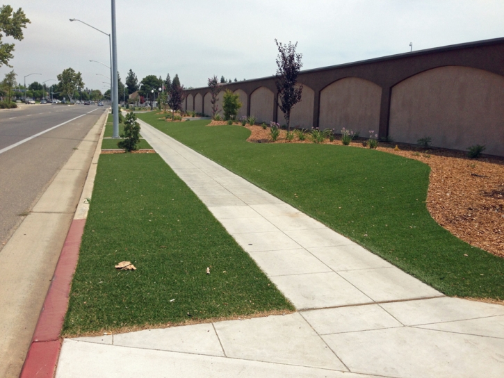 Artificial Grass Oasis, California Landscaping Business, Commercial Landscape