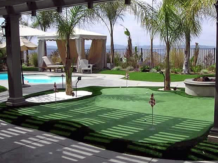 Artificial Lawn East Hemet, California Design Ideas, Backyard Design