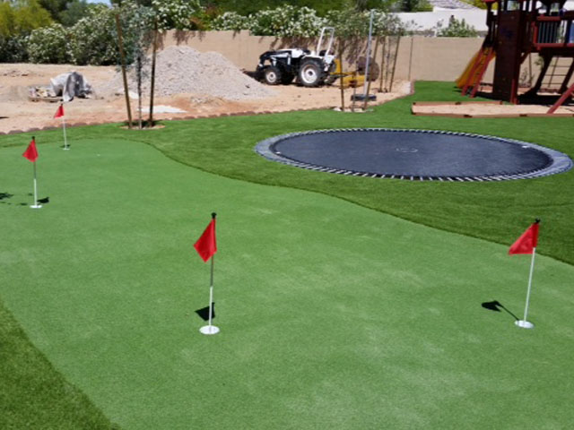 Artificial Lawn Lakeview, California Artificial Putting Greens, Backyards