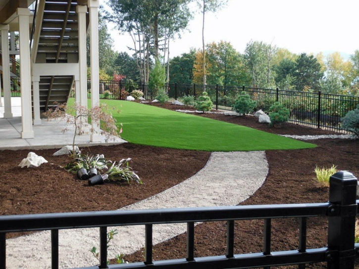 Artificial Lawn Sunnyslope, California Landscape Design, Backyard Makeover