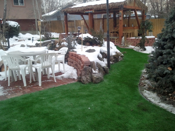 Artificial Turf Cost Aguanga, California City Landscape, Small Backyard Ideas