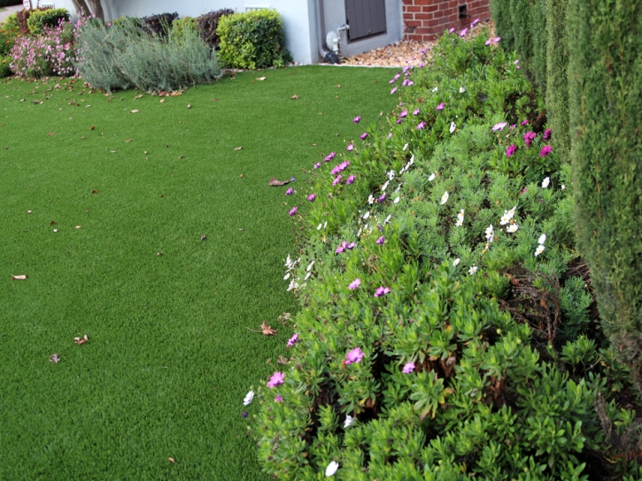 Artificial Turf Cost Banning, California Roof Top, Landscaping Ideas For Front Yard