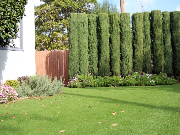 Artificial Turf Cost Bermuda Dunes, California Gardeners, Small Front Yard Landscaping