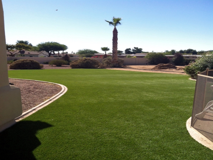 Artificial Turf Cost Garnet, California Garden Ideas, Backyard