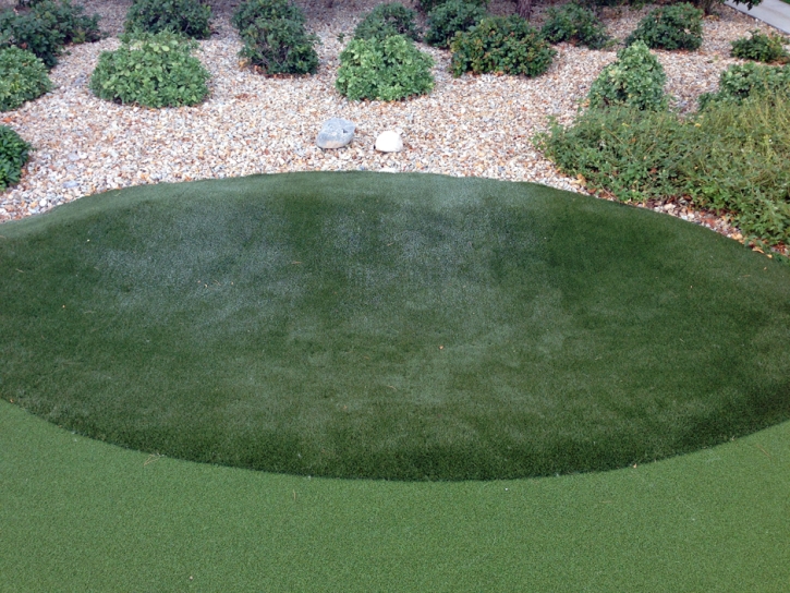 Artificial Turf Cost Lake Elsinore, California Putting Greens