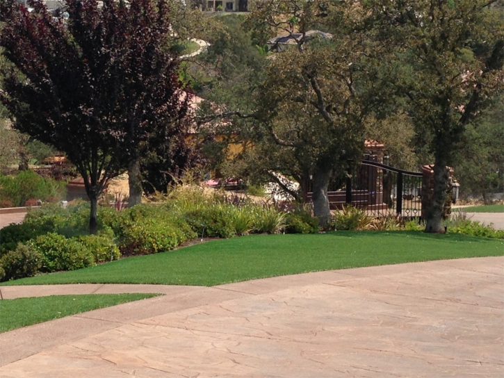 Artificial Turf Cost Menifee, California Landscape Ideas, Backyard Garden Ideas