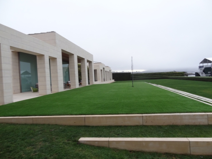 Artificial Turf Cost Valle Vista, California Landscape Ideas, Commercial Landscape