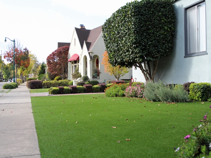 Artificial Turf Desert Edge, California Landscape Design, Front Yard Landscaping Ideas