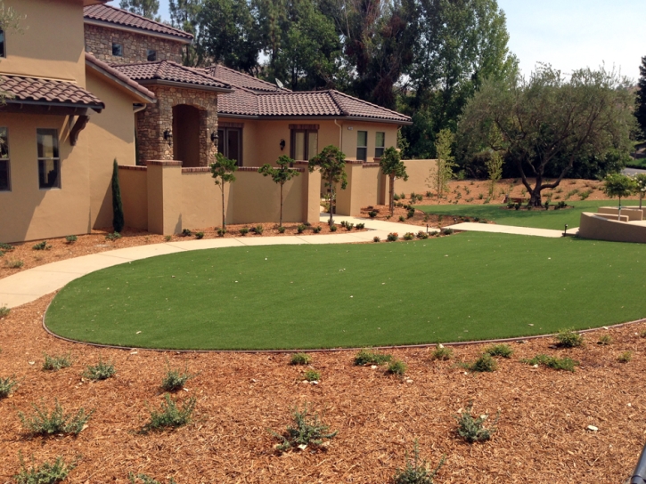 Artificial Turf Desert Hot Springs, California Lawn And Landscape, Front Yard Landscaping