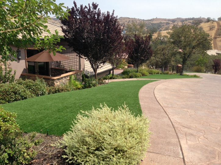 Artificial Turf Homeland, California Garden Ideas, Front Yard Landscaping