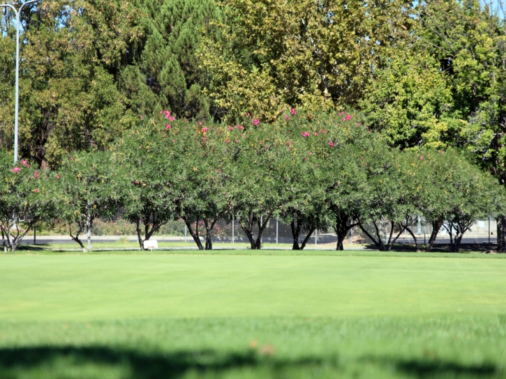 Artificial Turf Installation Good Hope, California Golf Green