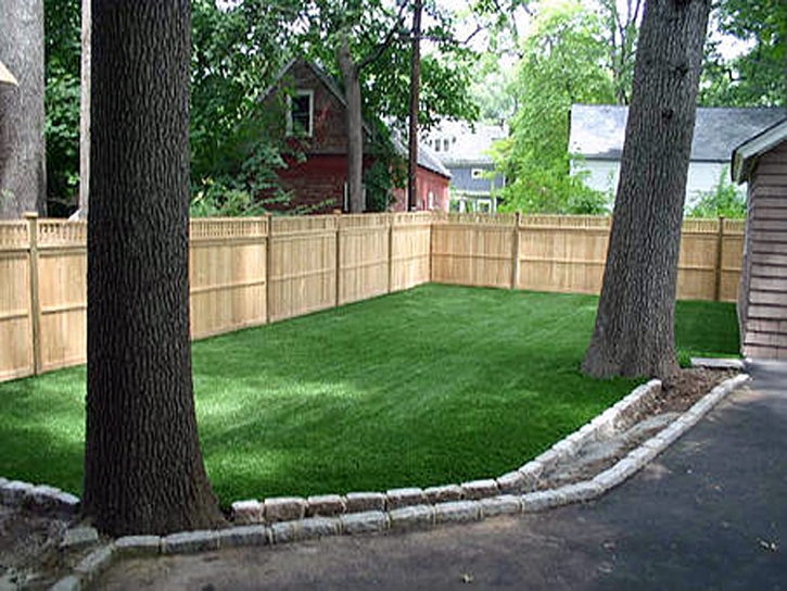 Artificial Turf Temecula, California Design Ideas, Backyard Ideas