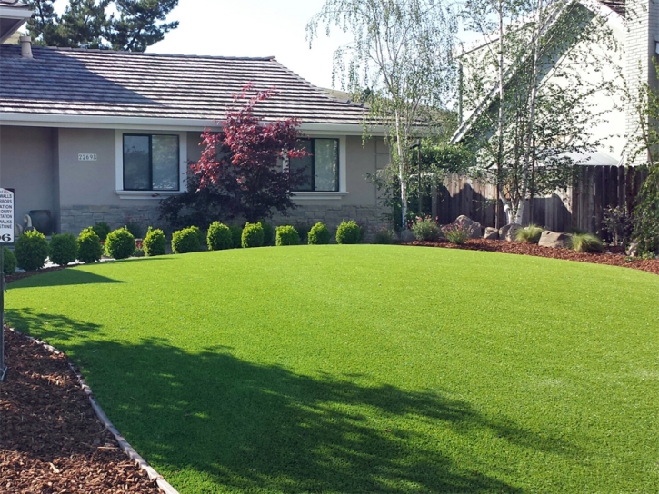 Best Artificial Grass Anza, California Backyard Playground, Front Yard