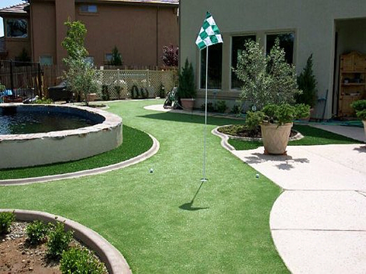 Best Artificial Grass Cathedral City, California Landscape Design, Backyard Landscape Ideas