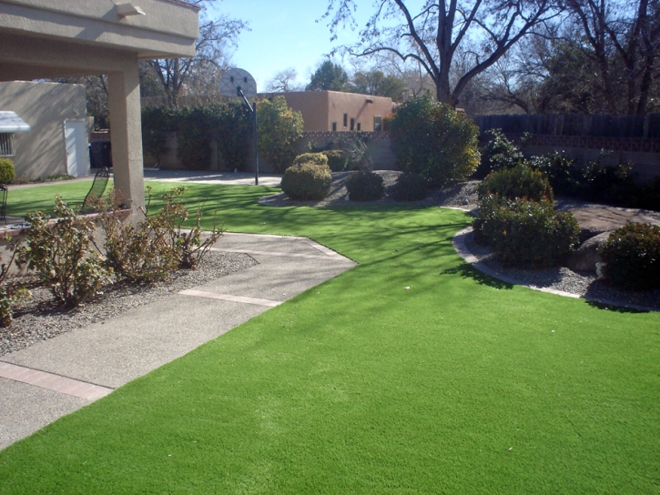 Best Artificial Grass Lake Elsinore, California Landscape Ideas, Landscaping Ideas For Front Yard