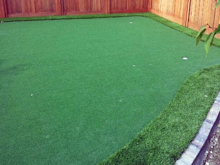 Best Artificial Grass Vista Santa Rosa, California Best Indoor Putting Green, Backyard Ideas