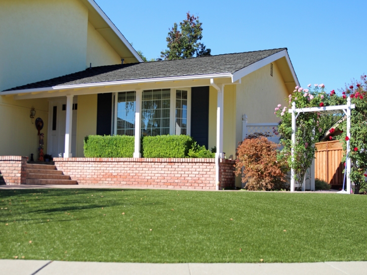 Fake Grass Carpet Beaumont, California Home And Garden, Landscaping Ideas For Front Yard