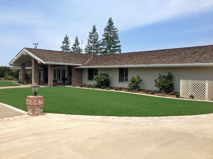 Fake Grass Carpet East Hemet, California Lawn And Landscape, Front Yard Landscape Ideas