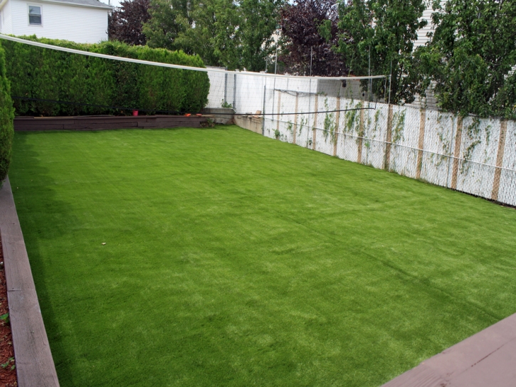 Fake Grass Carpet Idyllwild, California Landscape Ideas, Backyard Ideas