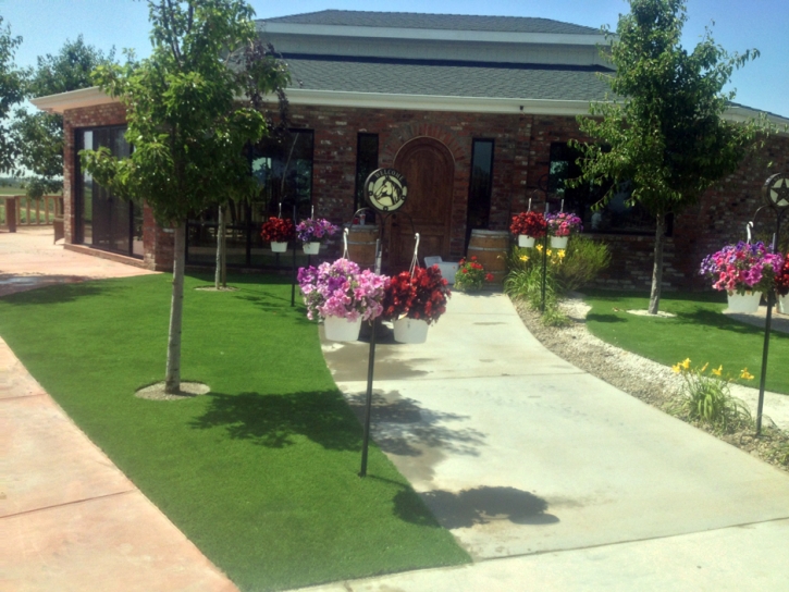 Fake Grass Carpet Lake Elsinore, California City Landscape, Commercial Landscape