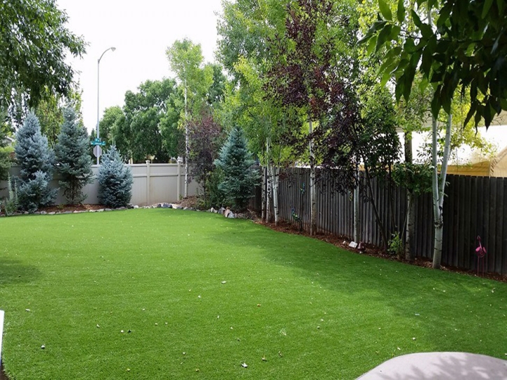 Fake Grass Carpet Moreno Valley, California Landscaping, Backyard Landscaping Ideas