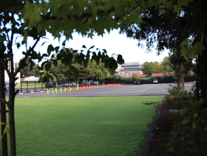 Fake Grass Carpet Nuevo, California High School Sports, Commercial Landscape