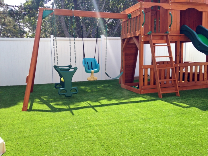 Fake Grass Carpet Winchester, California City Landscape, Backyard Landscape Ideas