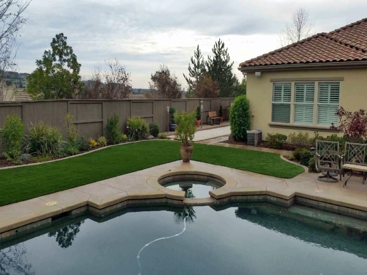 Fake Grass Mortmar, California Design Ideas, Backyard Landscaping Ideas