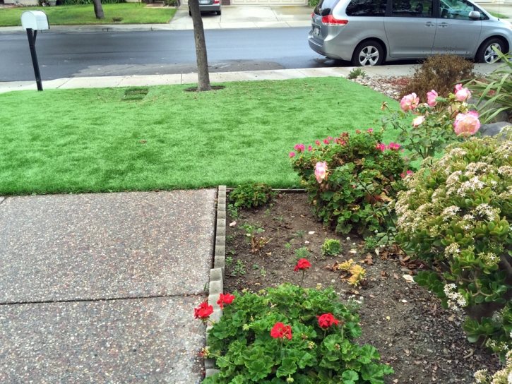 Fake Grass Rubidoux, California Watch Dogs, Front Yard Landscaping