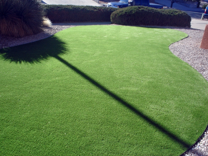 Fake Grass Thousand Palms, California Landscape Design, Front Yard Landscaping Ideas