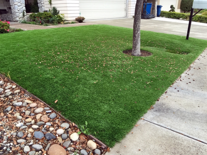 Fake Lawn Mountain Center, California Landscaping Business, Front Yard Landscape Ideas