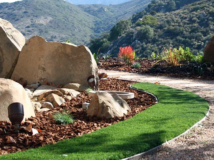 Fake Lawn Wildomar, California Landscaping Business, Front Yard Landscape Ideas