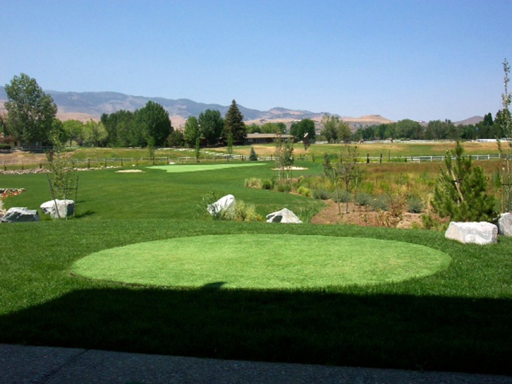 Fake Turf Blythe, California Putting Green Carpet, Backyard Designs