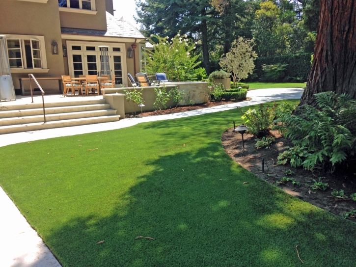 Fake Turf Canyon Lake, California Landscaping Business, Backyard Landscaping Ideas