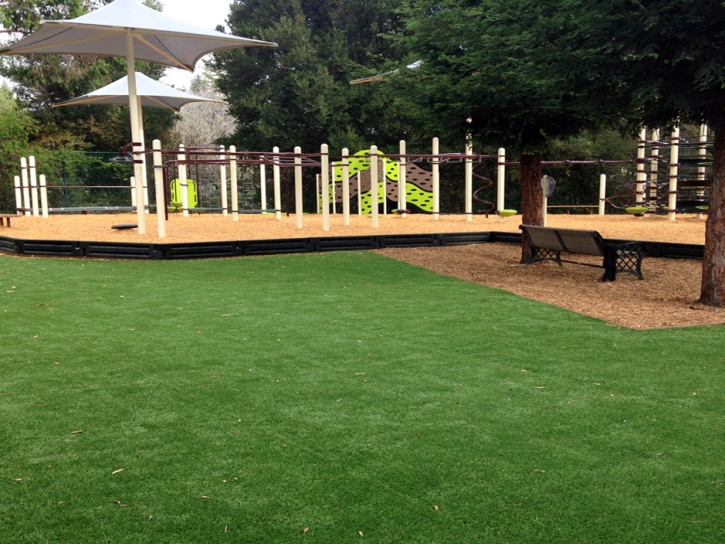 Fake Turf Corona, California Playground, Backyard Design