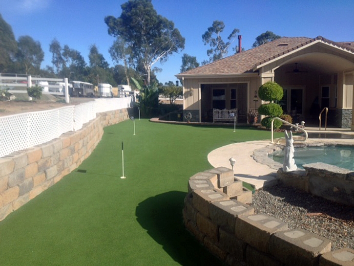 Fake Turf Glen Avon, California Home And Garden, Backyard Designs